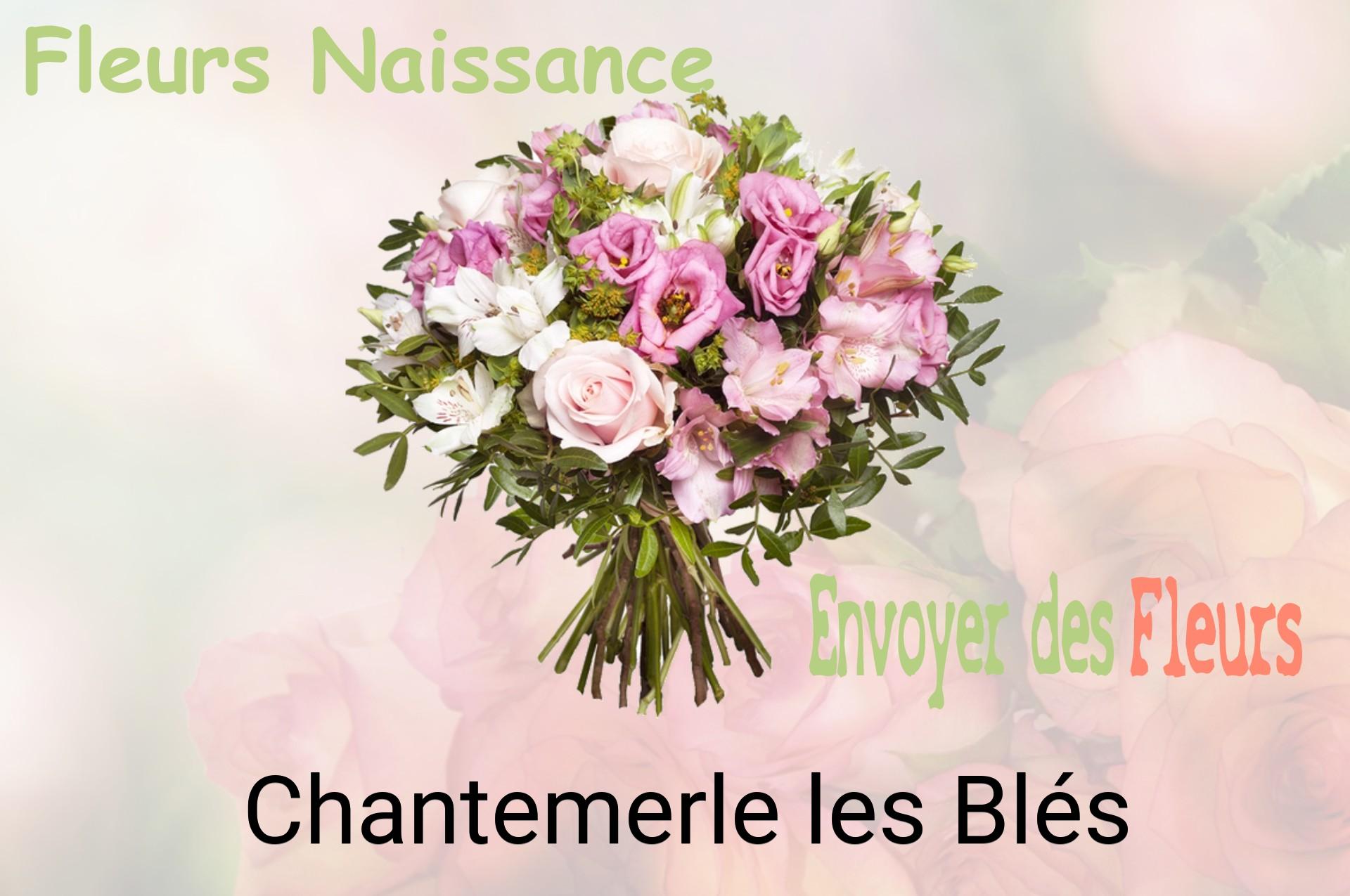 Bouquet de fleurs de naissance livré à Chantemerle-les-Blés
